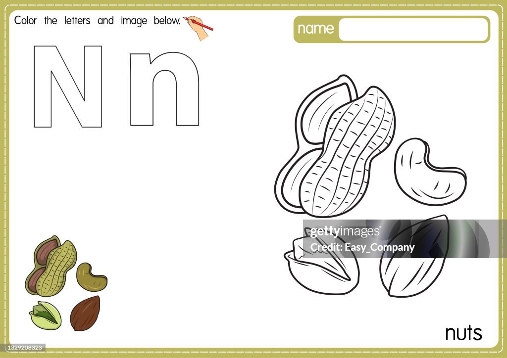 Nut Letters Vector Illustration Of Kids Alphabet Coloring Book Page With Outlined ...