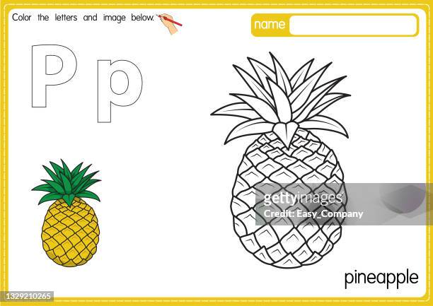 vektorillustration der malbuchseite für kinder mit umrissener clipart zum ausmalen. buchstabe p für ananas. - ananas stock-grafiken, -clipart, -cartoons und -symbole
