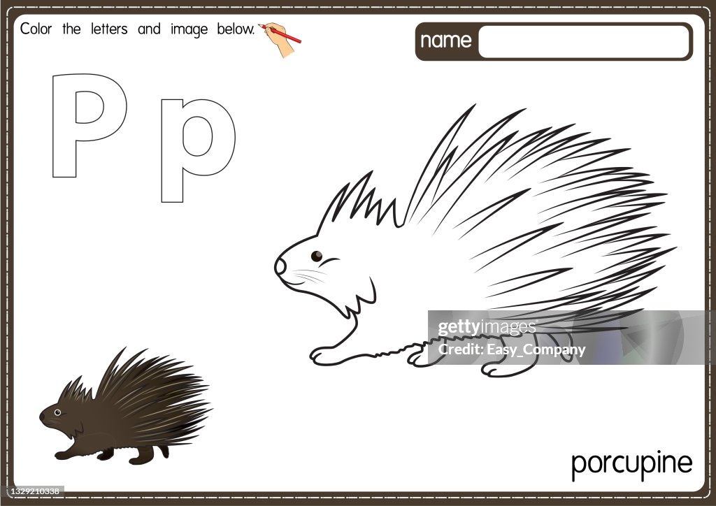 Vector Illustration Of Kids Alphabet Coloring Book Page With Outlined Clip  Art To Color Letter P For Porcupine High-Res Vector Graphic - Getty Images