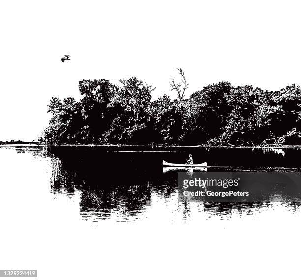illustrazioni stock, clip art, cartoni animati e icone di tendenza di canoa su un lago tranquillo con osprey - canoa