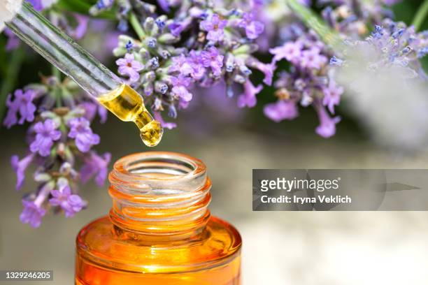 lavender flowers and beauty facial serum or smooth and glow facial natural essential oil. - lavendelfarbig stock-fotos und bilder