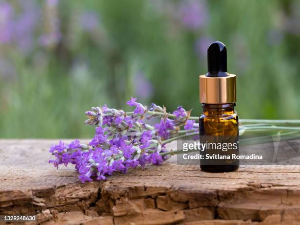 beauty composition with lavender and bottle with essential oil on rustic wooden desk - lavendelfärgad bildbanksfoton och bilder