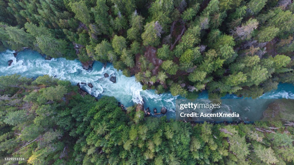 Luftaufnahme eines Flusses, der durch einen gemäßigten Regenwald fließt