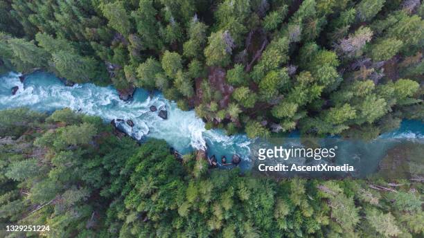 vue aérienne d’une rivière qui coule dans une forêt pluviale tempérée - canada photos et images de collection
