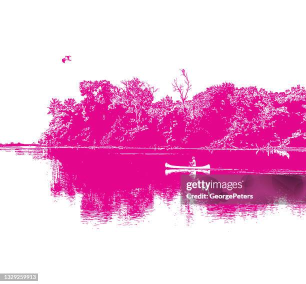 canoeing on a tranquil lake with osprey - osprey stock illustrations