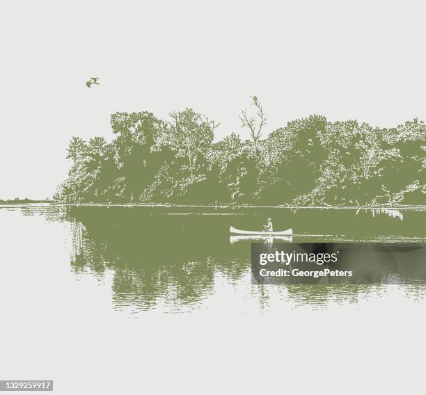 canoeing on a tranquil lake with osprey - osprey stock illustrations