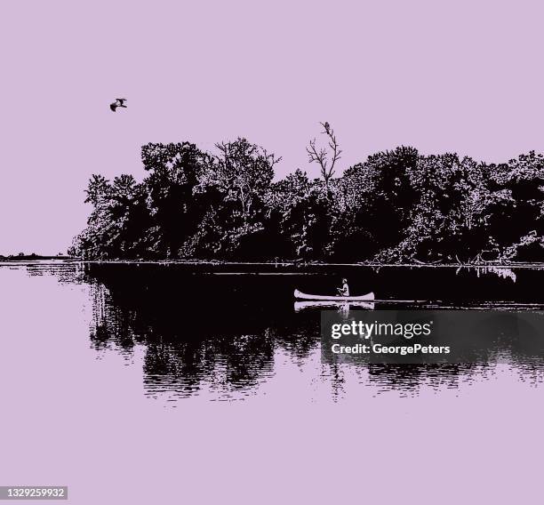 canoeing on a tranquil lake with osprey - osprey stock illustrations