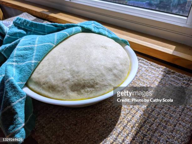 pizza dough - yeast stock pictures, royalty-free photos & images