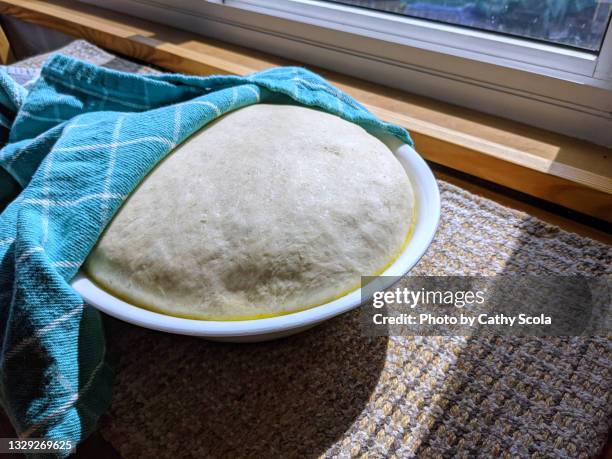 pizza dough - levedura imagens e fotografias de stock