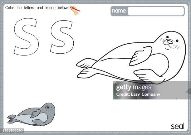 vector illustration of kids alphabet coloring book page with outlined clip art to color. letter s for seal. - thai southern food stock illustrations