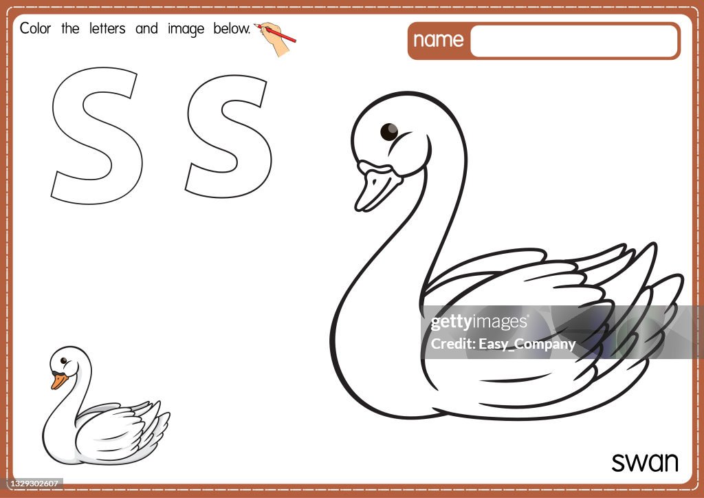 Vector illustration of kids alphabet coloring book page with outlined clip art to color. Letter S for Swan.