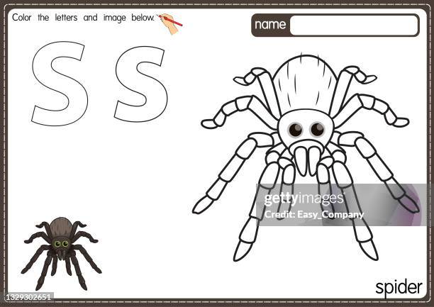vector illustration of kids alphabet coloring book page with outlined clip art to color. letter s for spider. - redback spider stock illustrations