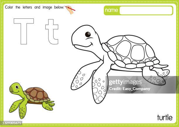 ilustraciones, imágenes clip art, dibujos animados e iconos de stock de ilustración vectorial de la página del libro para colorear del alfabeto de los niños con imágenes prediseñadas delineadas para colorear. letra t para tortuga. - dermoquélidos