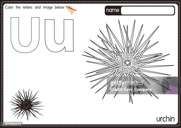stockillustraties, clipart, cartoons en iconen met vector illustration of kids alphabet coloring book page with outlined clip art to color. letter u for urchin. - sea urchin