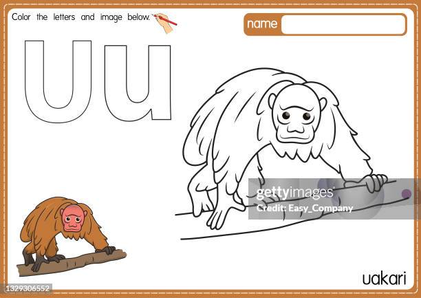 vector illustration of kids alphabet coloring book page with outlined clip art to color. letter u for uakari. - macaque stock illustrations