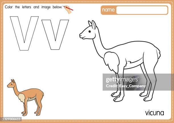 vector illustration of kids alphabet coloring book page with outlined clip art to color. letter v for vicuna. - guanaco stock illustrations