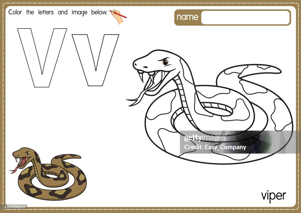 Illustrazione vettoriale della pagina del libro da colorare dell'alfabeto per bambini con ClipArt delineata a colori. Lettera V per Viper.
