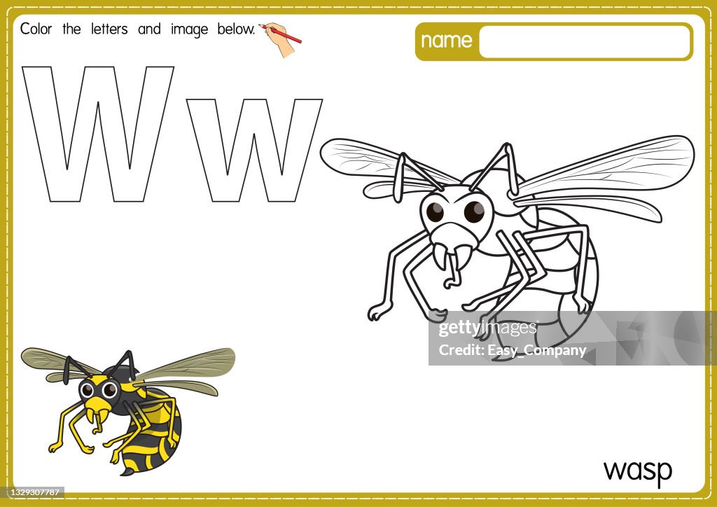 Vector illustration of kids alphabet coloring book page with outlined clip art to color. Letter W for Wasp.