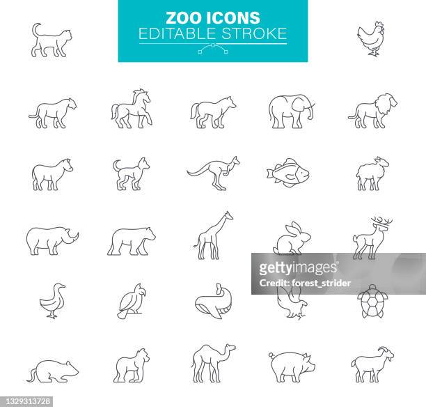 zoo icons. set contains symbol as animal, turtle, sea animals, lion, illustration - animal icons stock illustrations