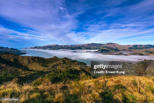 te whakaraupō lyttelton harbour, fog, aotearoa nuova zelanda - banks peninsula foto e immagini stock