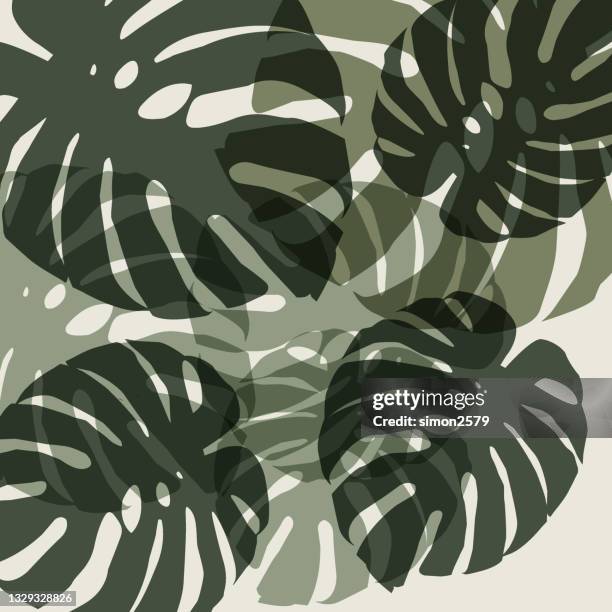 monstera deliciosa tropical leaf background - monstera leaf stock illustrations