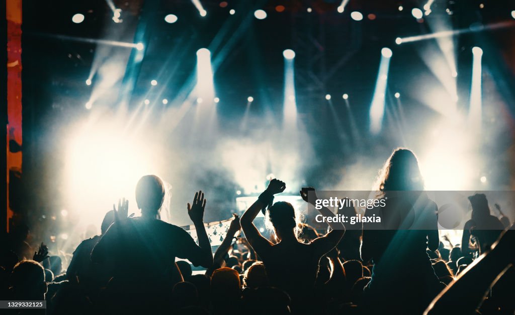 Large group of people at a concert party.