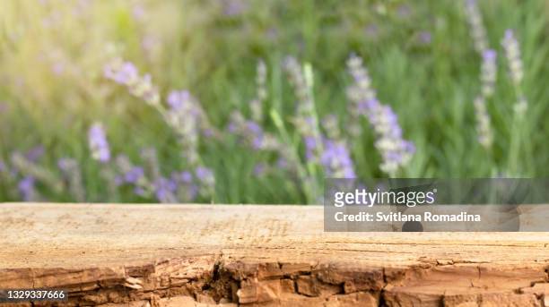 background with rustic wooden desk and  lavender field. sunlight - blue wooden table stock-fotos und bilder
