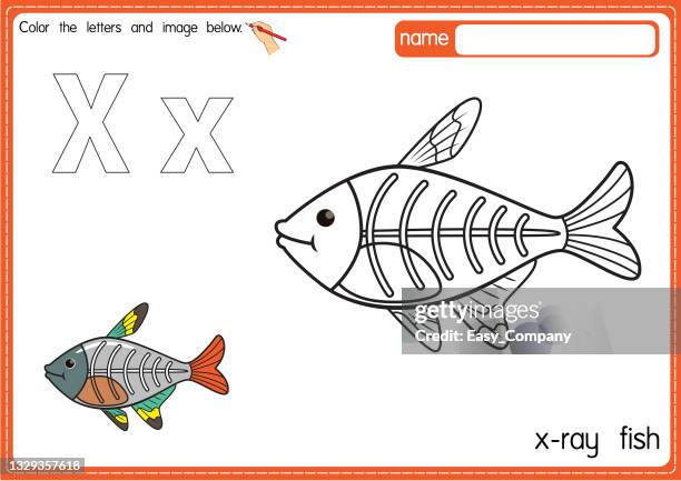 vektorillustration der malbuchseite für kinder mit umrissener clipart zum ausmalen. buchstabe x für röntgenfische. - fish cartoon page stock-grafiken, -clipart, -cartoons und -symbole