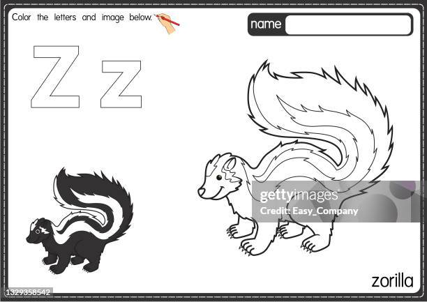 ilustraciones, imágenes clip art, dibujos animados e iconos de stock de ilustración vectorial de la página del libro para colorear del alfabeto de los niños con imágenes prediseñadas delineadas para colorear. letra z para zorilla. - zoo animals black and white clip art