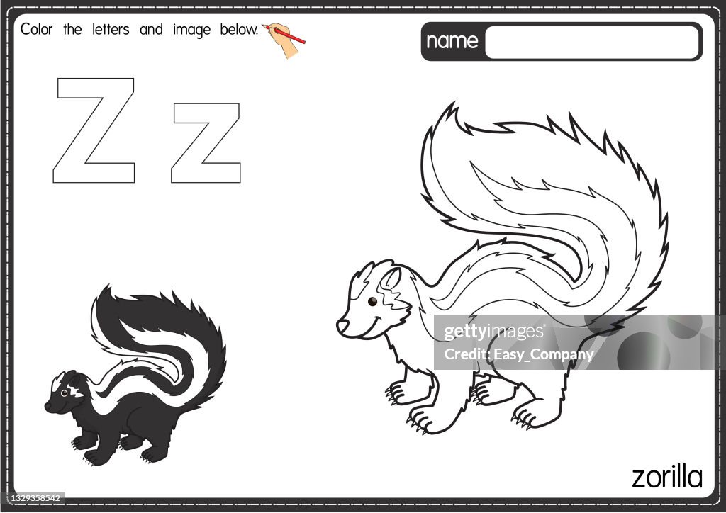 Vector illustration of kids alphabet coloring book page with outlined clip art to color. Letter Z for Zorilla.