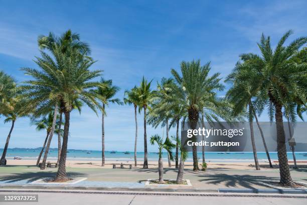 pattaya beach on a day without tourists from the covid-19 incident - strand pattaya stockfoto's en -beelden