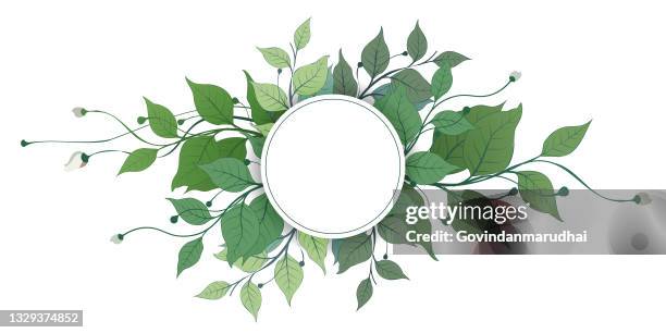 vector banners set with green leaves on white background. exotic botanical design for cosmetics, perfume, beauty salon, travel agency, florist shop. best as wedding invitation cards - bridal background stock illustrations