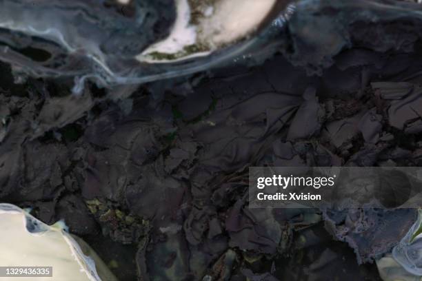 potassium iodide reacts with silver nitrate to form silver iodide, which breaks down into tiny "silver cores" under the action of light and gradually turns greyish-black - iodine stock pictures, royalty-free photos & images