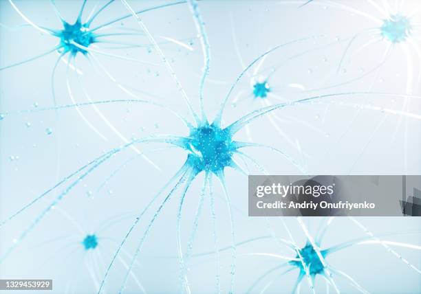 nerve cells of the human brain - nerve cell stock pictures, royalty-free photos & images
