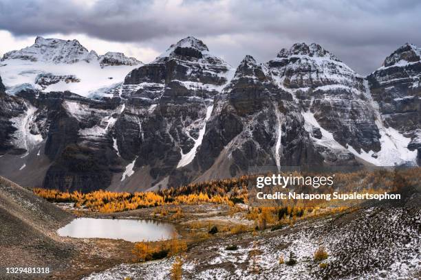 larch valley trail with early snow, banff national park, alberta, canada. - montañas rocosas canadienses fotografías e imágenes de stock