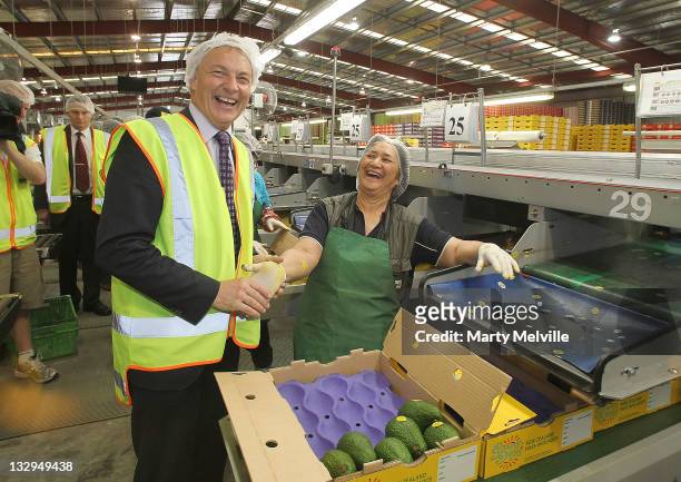 Labour Party leader Phil Goff meets workers on the Avocado packing line at the Trevelyan Kiwi Fruit Orchard on November 16, 2011 in Te Puke, New...