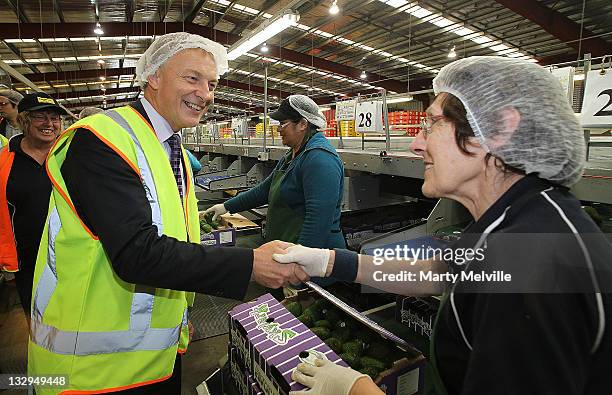 Labour Party leader Phil Goff meets workers on the Avocado packing lines at the Trevelyan Kiwi Fruit Orchard on November 16, 2011 in Te Puke, New...