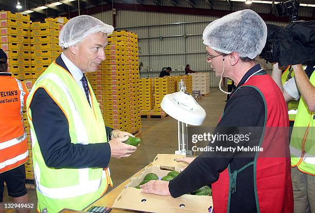 Labour Party leader Phil Goff meets workers on the Avocado packing lines at the Trevelyan Kiwi Fruit Orchard on November 16, 2011 in Te Puke, New...