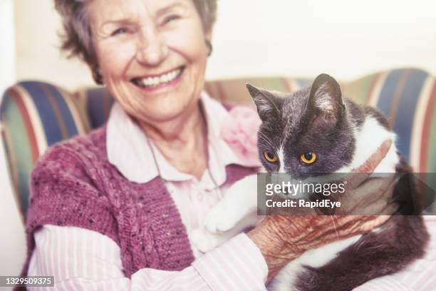 schöne ältere frau in ihren 80ern lächelt glücklich, als sie ihre hauskatze hält - old woman cat stock-fotos und bilder