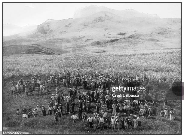 antique black and white photograph: workers on the lihue sugar plantation, island of kauai, hawaii - kauai stock illustrations