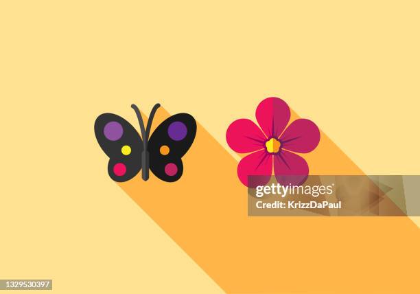 butterfly and flower - dianthus stock illustrations