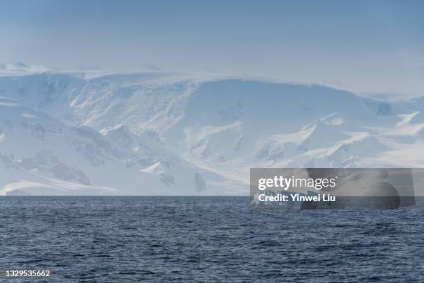 antartica - south pole stock pictures, royalty-free photos & images