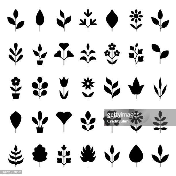 pflanzen-icon-set - blades of grass stock-grafiken, -clipart, -cartoons und -symbole