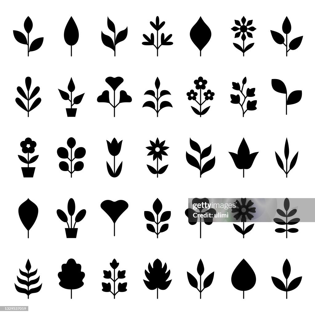 Plants icon set