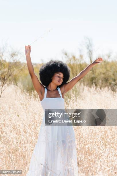 carefree ethnic woman dancing in field - vestido de verão imagens e fotografias de stock