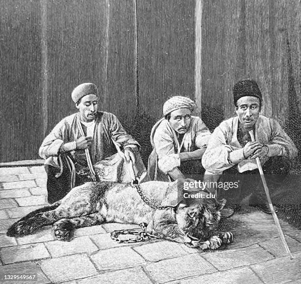 persia, street beggars with a tamed tiger - persian culture stock illustrations