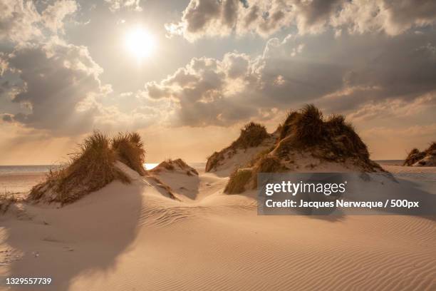 scenic view of desert against sky during sunset,amrum,germany - insel amrum stock-fotos und bilder