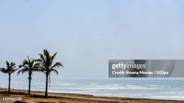 scenic view of sea against clear sky,salalah,oman - salalah stock pictures, royalty-free photos & images