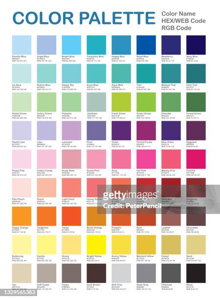 stockillustraties, clipart, cartoons en iconen met color palette - popular colors. color chart. patterns and names. rgb, hex html. vector color - beschrijvende kleur