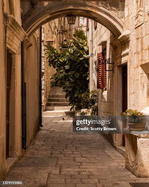 a leafy plant underneath an arch in the old city of korčula - korcula island stock pictures, royalty-free photos & images